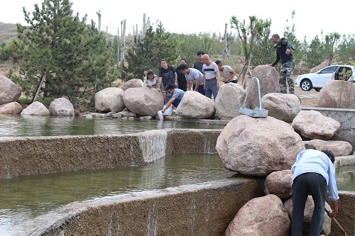 包頭公墓 包頭公墓