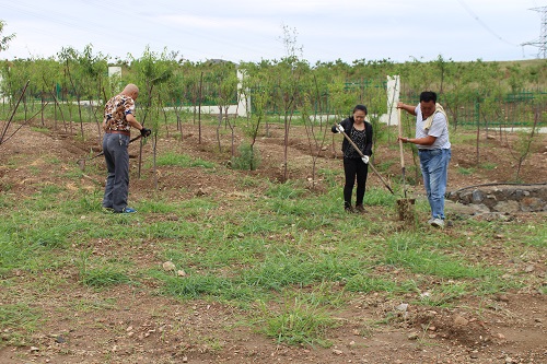 包頭殯儀服務(wù) 包頭殯儀服務(wù)