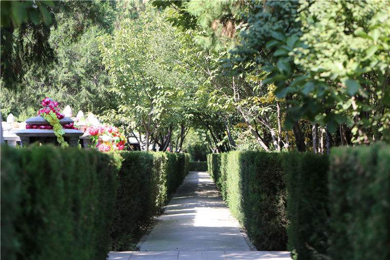 生命的歸宿，墓園植物景觀設(shè)計的方法