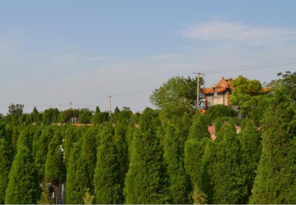 落葬時，要注意的六大原則